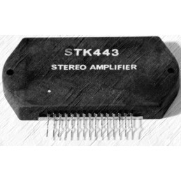 STK443
