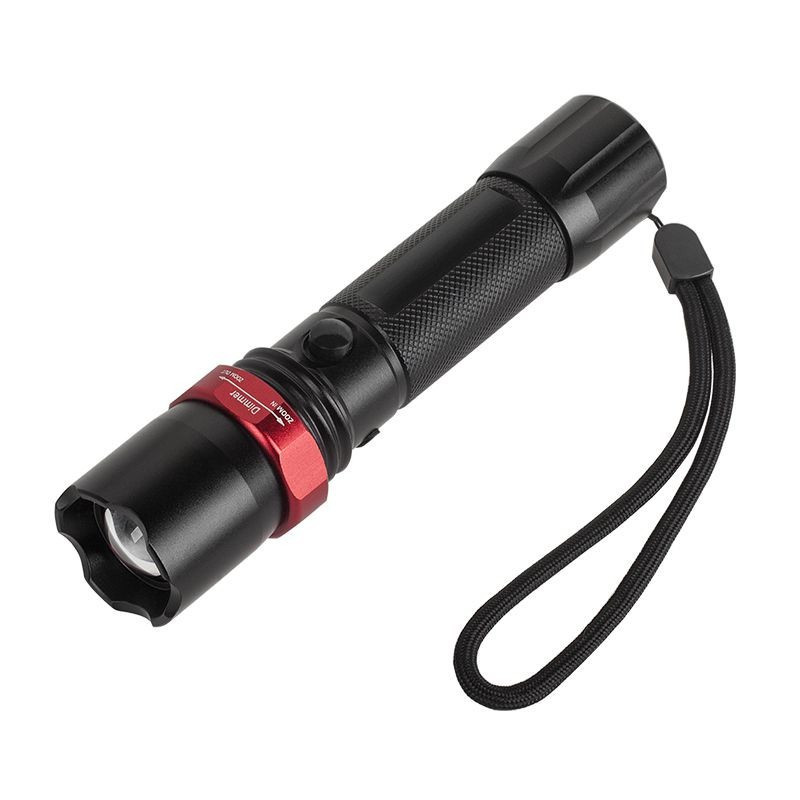 Lanterne/lupe Lanterna led U2 Cree 10W cu acumulator 85,92 Lei