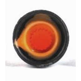 Butoane potentiometru Buton potentiometru plastic portocaliu/negru 0,50 Lei