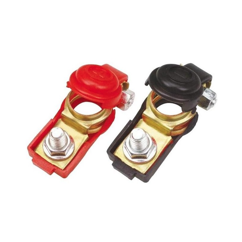 Accesorii diverse Set 2 borne baterie auto 58x30x15mm 23,28 Lei